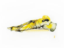 Load image into Gallery viewer, "Grubstake" by R.L. Gibson