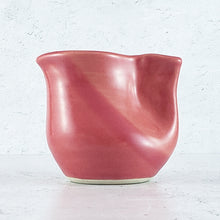 Load image into Gallery viewer, FINCH Pitchers by Jive Pottery